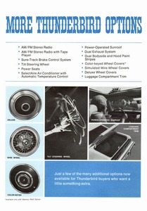 1974 Ford Thunderbird Facts-06.jpg